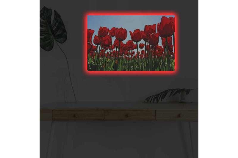 Seinäkoriste LED-valaistu Canvas Maalaus - Canvas-taulu - Seinäkoristeet