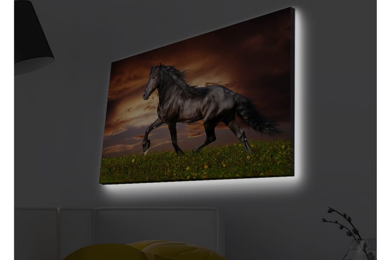 Seinäkoriste LED-valaistu Canvas Maalaus - Canvas-taulu - Seinäkoristeet