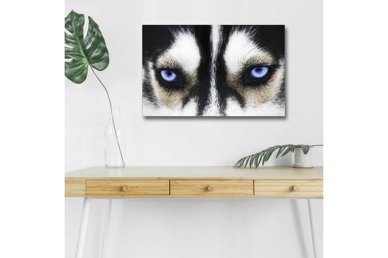 Seinäkoriste LED-valaistu Canvas Maalaus - Sisustustuotteet - Taulu & taide - Canvas-taulu