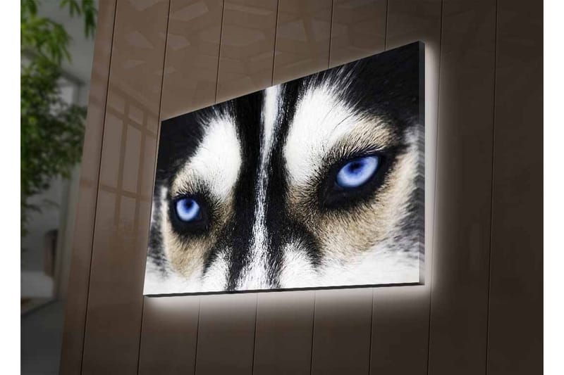 Seinäkoriste LED-valaistu Canvas Maalaus - Sisustustuotteet - Taulu & taide - Canvas-taulu