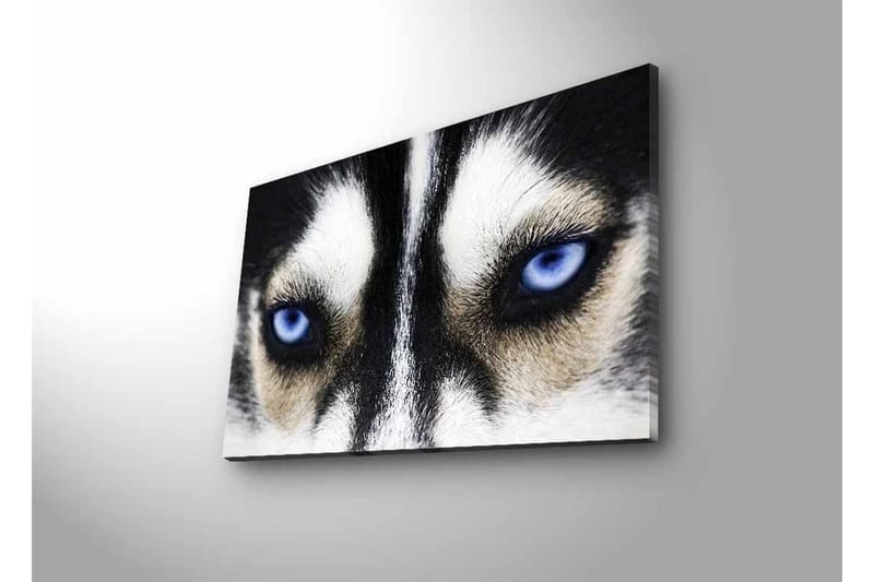 Seinäkoriste LED-valaistu Canvas Maalaus - Canvas-taulu - Seinäkoristeet