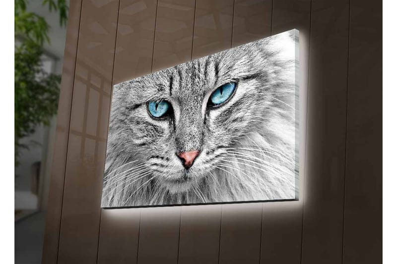 Seinäkoriste LED-valaistu Canvas Maalaus - Sisustustuotteet - Taulu & taide - Canvas-taulu