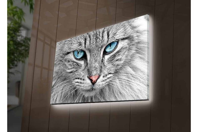 Seinäkoriste LED-valaistu Canvas Maalaus - Canvas-taulu - Seinäkoristeet