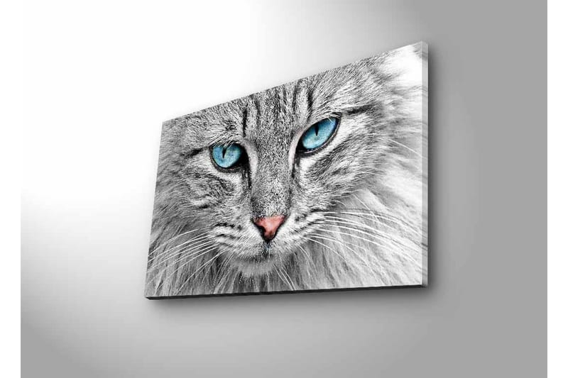 Seinäkoriste LED-valaistu Canvas Maalaus - Sisustustuotteet - Taulu & taide - Canvas-taulu