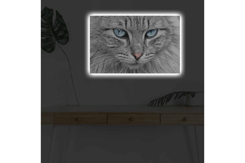 Seinäkoriste LED-valaistu Canvas Maalaus - Canvas-taulu - Seinäkoristeet