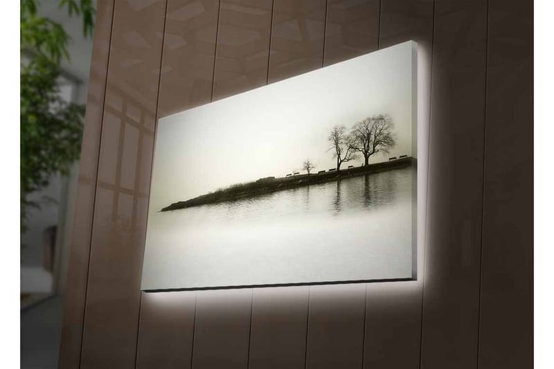 Seinäkoriste LED-valaistu Canvas Maalaus - Sisustustuotteet - Taulu & taide - Canvas-taulu