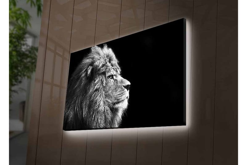 Seinäkoriste LED-valaistu Canvas Maalaus - Sisustustuotteet - Taulu & taide - Canvas-taulu