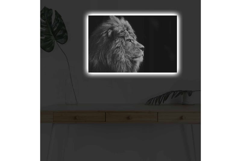 Seinäkoriste LED-valaistu Canvas Maalaus - Canvas-taulu - Seinäkoristeet