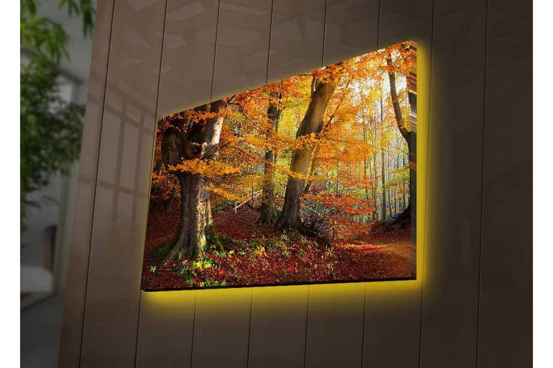 Seinäkoriste LED-valaistu Canvas Maalaus - Sisustustuotteet - Taulu & taide - Canvas-taulu
