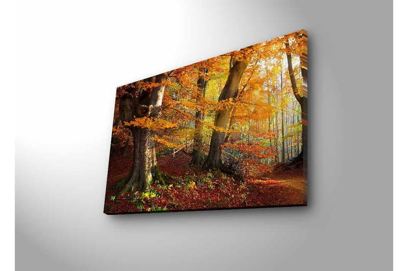 Seinäkoriste LED-valaistu Canvas Maalaus - Sisustustuotteet - Taulu & taide - Canvas-taulu