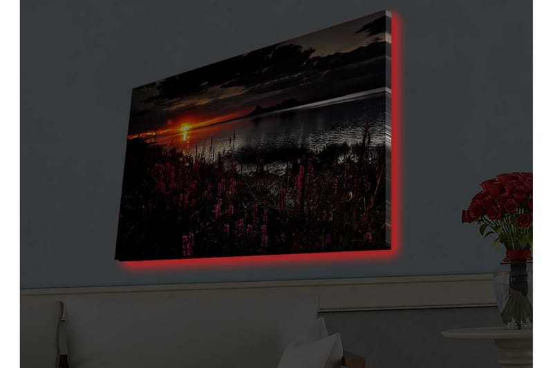 Seinäkoriste LED-valaistu Canvas Maalaus - Sisustustuotteet - Taulu & taide - Canvas-taulu
