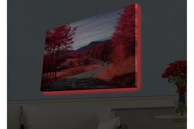 Seinäkoriste LED-valaistu Canvas Maalaus - Canvas-taulu - Seinäkoristeet