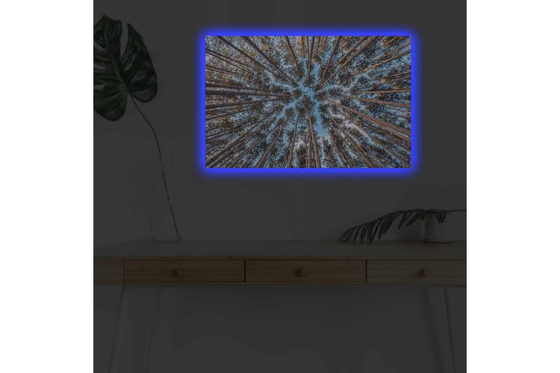 Seinäkoriste LED-valaistu Canvas Maalaus - Canvas-taulu - Seinäkoristeet