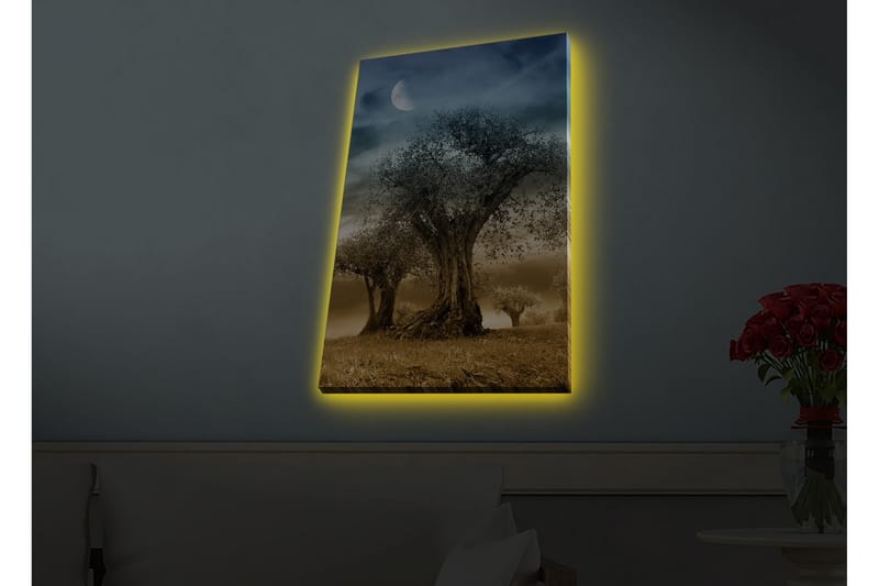 Seinäkoriste LED-valaistu Canvas Maalaus - Sisustustuotteet - Taulu & taide - Canvas-taulu