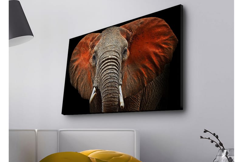 Seinäkoriste LED-valaistu Canvas Maalaus - Sisustustuotteet - Taulu & taide - Canvas-taulu