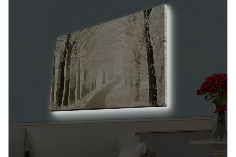Seinäkoriste LED-valaistu Canvas Maalaus - Sisustustuotteet - Taulu & taide - Canvas-taulu