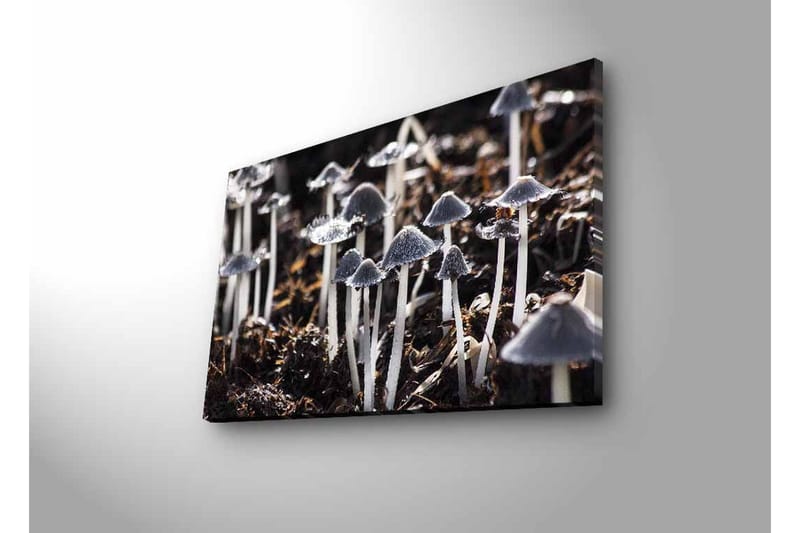 Seinäkoriste LED-valaistu Canvas Maalaus - Sisustustuotteet - Taulu & taide - Canvas-taulu