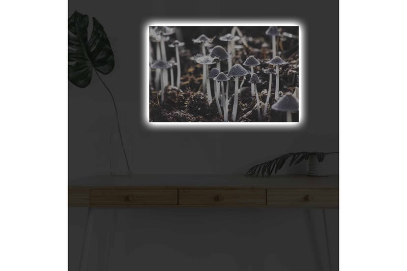 Seinäkoriste LED-valaistu Canvas Maalaus - Sisustustuotteet - Taulu & taide - Canvas-taulu