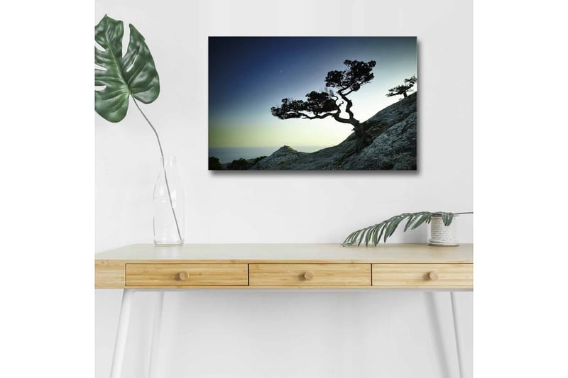 Seinäkoriste LED-valaistu Canvas Maalaus - Sisustustuotteet - Taulu & taide - Canvas-taulu