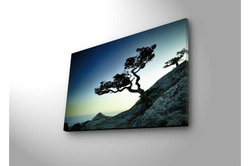 Seinäkoriste LED-valaistu Canvas Maalaus - Sisustustuotteet - Taulu & taide - Canvas-taulu