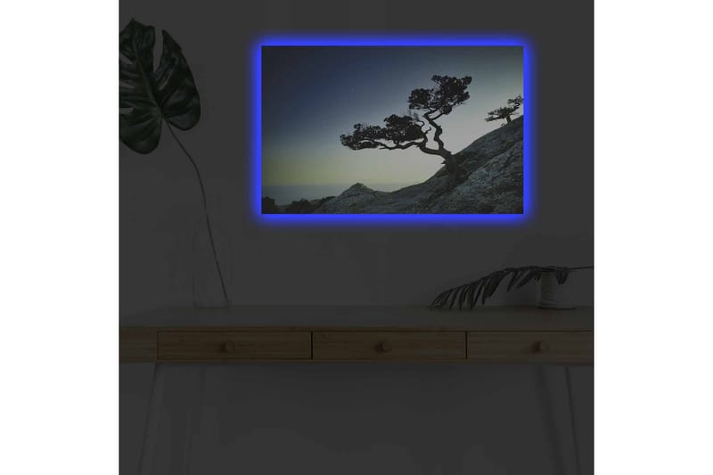 Seinäkoriste LED-valaistu Canvas Maalaus - Sisustustuotteet - Taulu & taide - Canvas-taulu