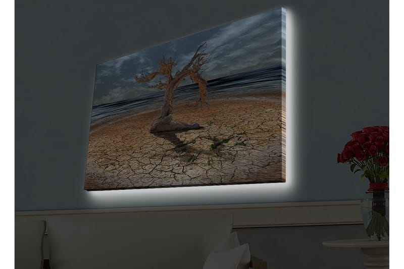 Seinäkoriste LED-valaistu Canvas Maalaus - Sisustustuotteet - Taulu & taide - Canvas-taulu
