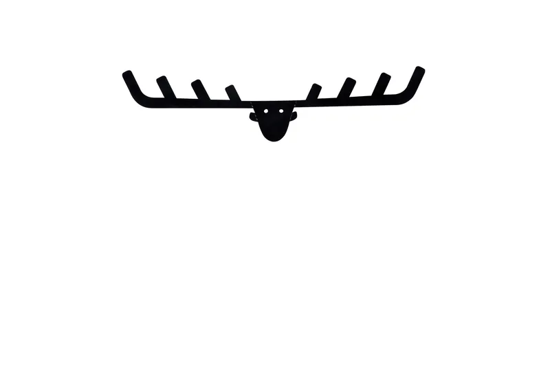 Seinäkoriste Naulakko, undefined