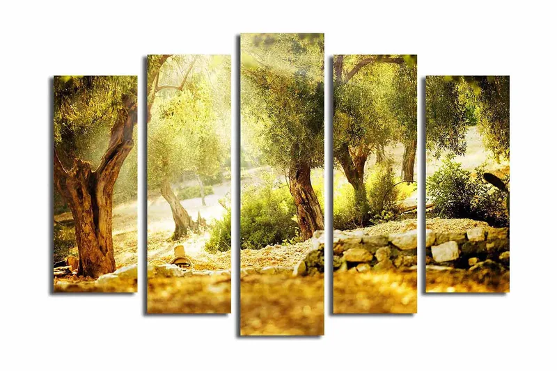 Suuri 5-osainen canvas-taulu, 105x70 cm - Auringonvalossa oliivitarha puita ja kivimuuri - Kulta / Vihreä / Ruskea - Sisustustuotteet - Taulu & taide - Canvas-taulu