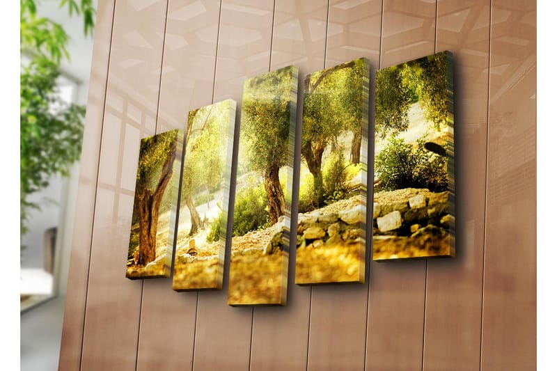 Suuri 5-osainen canvas-taulu, 105x70 cm - Auringonvalossa oliivitarha puita ja kivimuuri - Kulta / Vihreä / Ruskea - Sisustustuotteet - Taulu & taide - Canvas-taulu