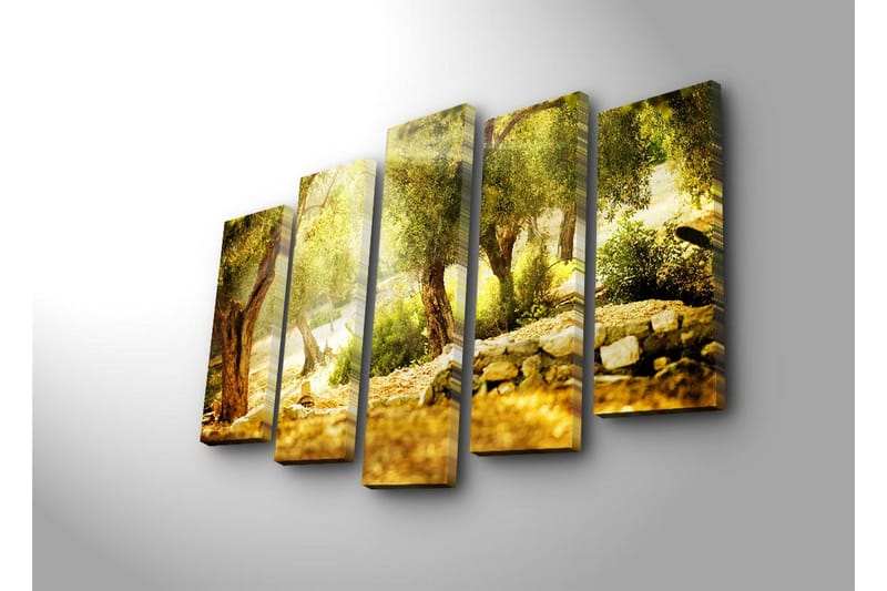 Suuri 5-osainen canvas-taulu, 105x70 cm - Auringonvalossa oliivitarha puita ja kivimuuri - Kulta / Vihreä / Ruskea - Sisustustuotteet - Taulu & taide - Canvas-taulu