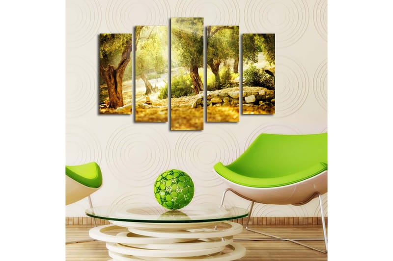 Suuri 5-osainen canvas-taulu, 105x70 cm - Auringonvalossa oliivitarha puita ja kivimuuri - Kulta / Vihreä / Ruskea - Sisustustuotteet - Taulu & taide - Canvas-taulu