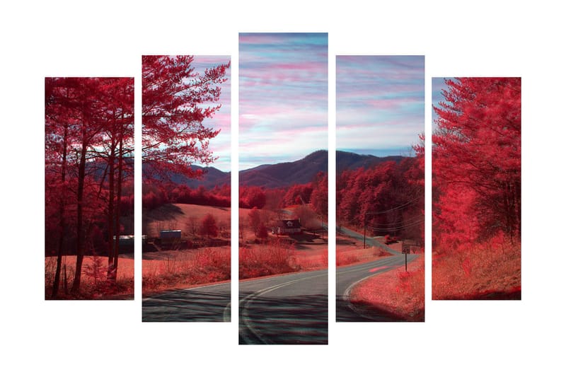 Suuri 5-osainen canvas-taulu, 105x70 cm - Dramaattinen maisema punaisilla puilla ja mutkittelevalla tiellä - Punainen / Vaaleanpunainen - Sisustustuotteet - Taulu & taide - Canvas-taulu