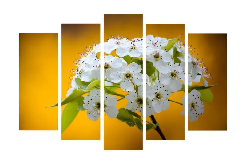 Suuri 5-osainen canvas-taulu, 105x70 cm - Kaunis valkoisten kukkien kimppu lämpimän keltaista taustaa vasten, Valkoinen / Keltainen