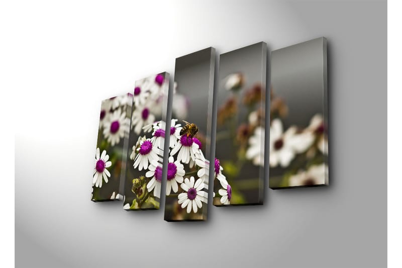 Suuri 5-osainen canvas-taulu, 105x70 cm - Kukkia violetilla keskellä ja mettä keräävä mehiläinen - Valkoinen / violetti - Sisustustuotteet - Taulu & taide - Canvas-taulu