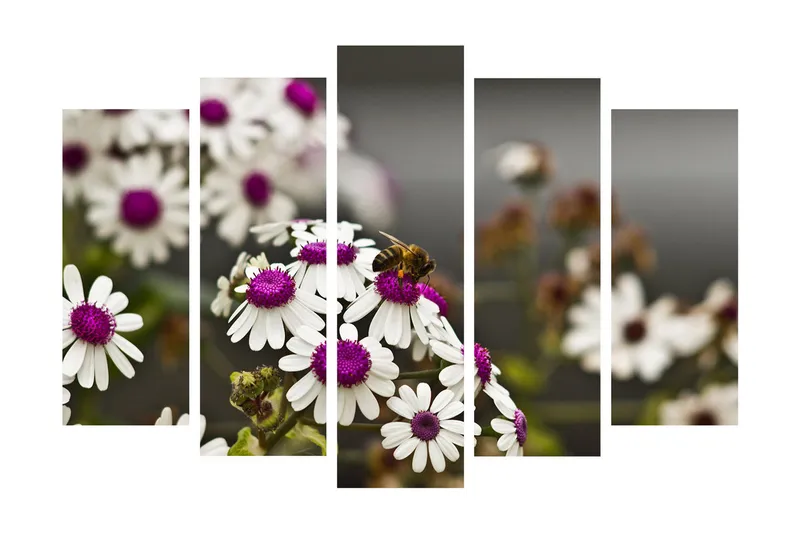 Suuri 5-osainen canvas-taulu, 105x70 cm - Kukkia violetilla keskellä ja mettä keräävä mehiläinen, Valkoinen / violetti