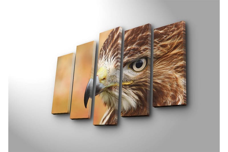 Suuri 5-osainen canvas-taulu, 105x70 cm - Lähikuva majesteettisesta haukasta, jonka kasvot ja silmät on keskitetty - Ruskea / Harmaa / Keltainen - Sisustustuotteet - Taulu & taide - Canvas-taulu