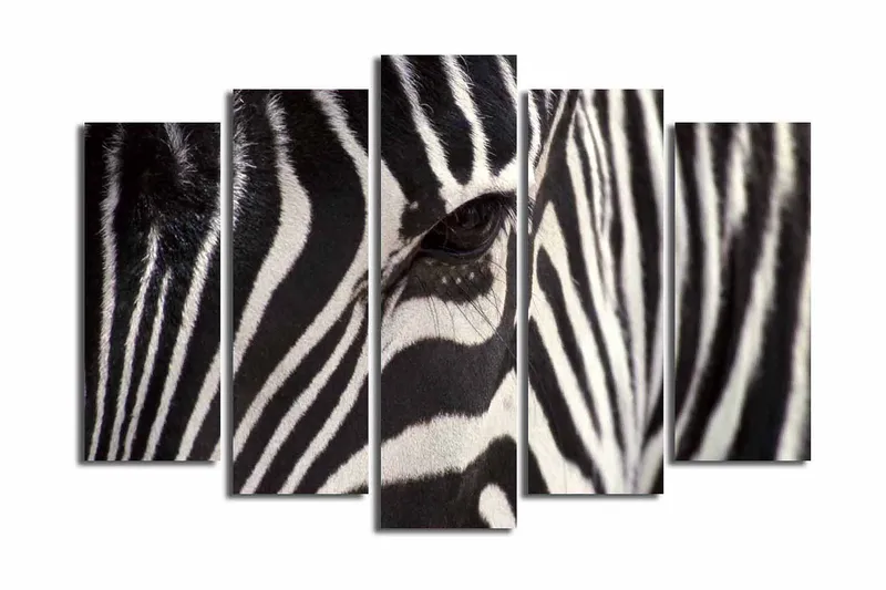 Suuri 5-osainen canvas-taulu, 105x70 cm - Lähikuva seeprasta, jossa on selkeät mustavalkoiset raidat, Musta / Valkoinen