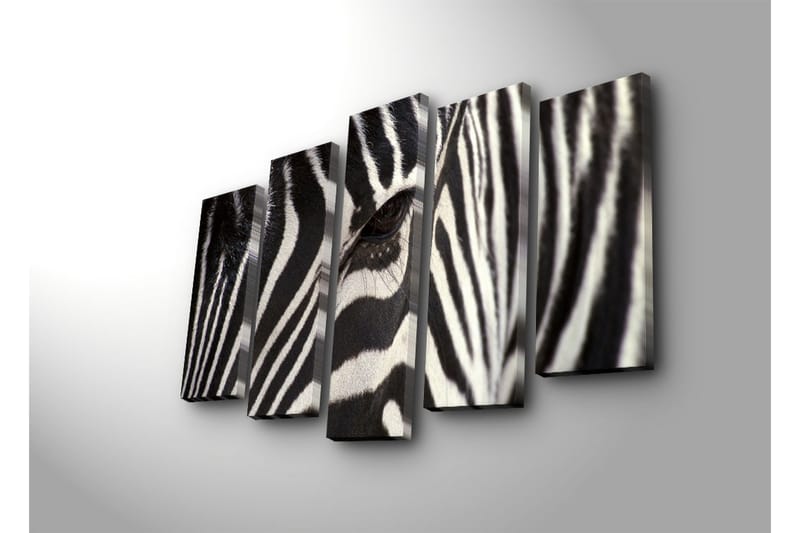 Suuri 5-osainen canvas-taulu, 105x70 cm - Lähikuva seeprasta, jossa on selkeät mustavalkoiset raidat - Musta / Valkoinen - Sisustustuotteet - Taulu & taide - Canvas-taulu