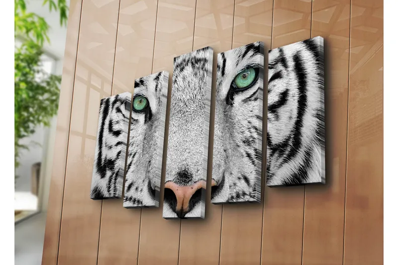 Suuri 5-osainen canvas-taulu, 105x70 cm - Lähikuva valkoisesta tiikeristä intensiivisillä silmillä - Valkoinen / Musta / Vihreä - Sisustustuotteet - Taulu & taide - Canvas-taulu