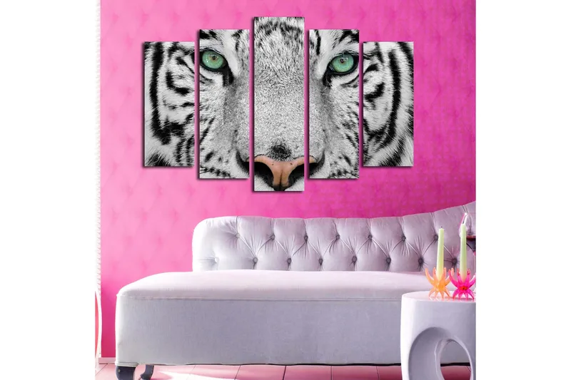 Suuri 5-osainen canvas-taulu, 105x70 cm - Lähikuva valkoisesta tiikeristä intensiivisillä silmillä - Valkoinen / Musta / Vihreä - Sisustustuotteet - Taulu & taide - Canvas-taulu