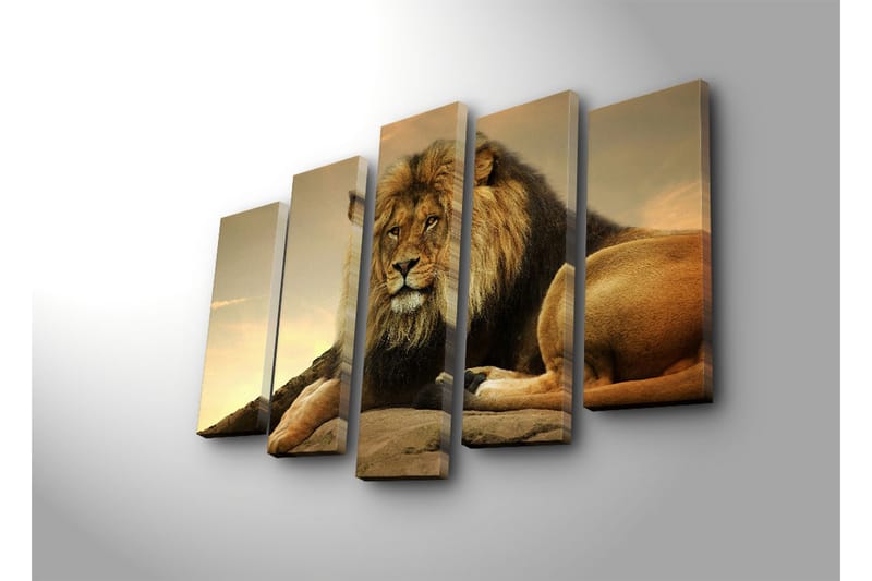 Suuri 5-osainen canvas-taulu, 105x70 cm - Majesteettinen leijona lepäämässä kalliolla - Kulta / Ruskea / Beige - Sisustustuotteet - Taulu & taide - Canvas-taulu