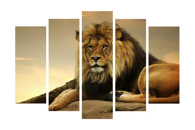 Suuri 5-osainen canvas-taulu, 105x70 cm - Majesteettinen leijona lepäämässä kalliolla, Kulta / Ruskea / Beige