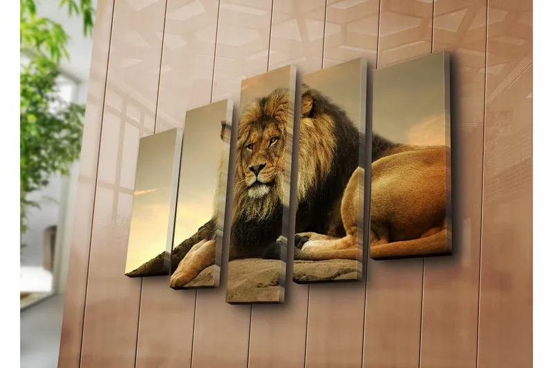 Suuri 5-osainen canvas-taulu, 105x70 cm - Majesteettinen leijona lepäämässä kalliolla - Kulta / Ruskea / Beige - Sisustustuotteet - Taulu & taide - Canvas-taulu