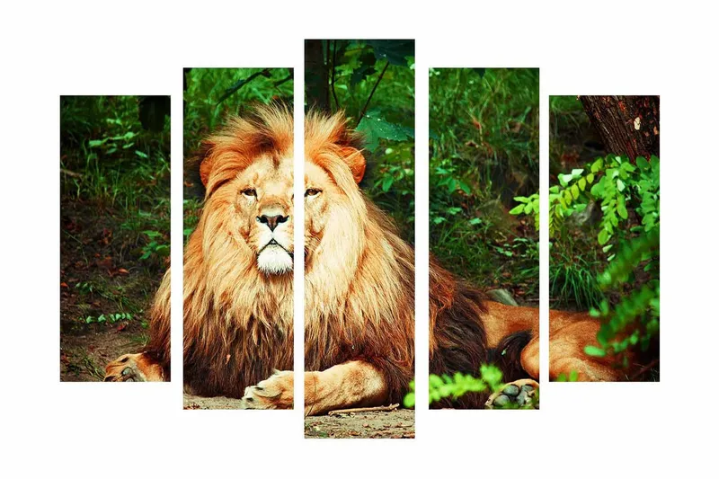 Suuri 5-osainen canvas-taulu, 105x70 cm - Majesteettinen leijona vaikuttavalla harjalla luonnollisessa ympäristössä, Kulta / Vihreä / Ruskea