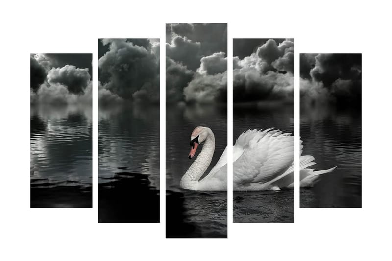 Suuri 5-osainen canvas-taulu, 105x70 cm - mustavalkoinen joutsen ui peilimäisessä järvessä dramaattisten pilvien alla - Valkoinen / Musta / Harmaa - Sisustustuotteet - Taulu & taide - Canvas-taulu
