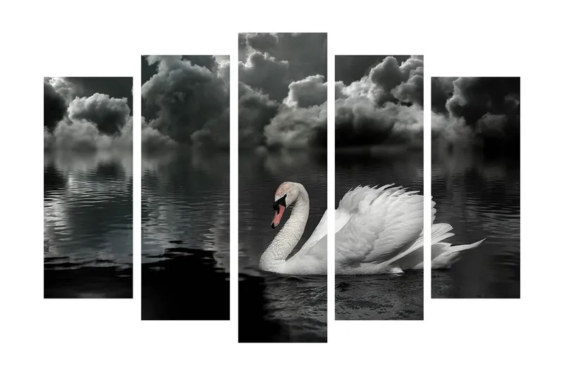 Suuri 5-osainen canvas-taulu, 105x70 cm - mustavalkoinen joutsen ui peilimäisessä järvessä dramaattisten pilvien alla - Valkoinen / Musta / Harmaa - Sisustustuotteet - Taulu & taide - Canvas-taulu