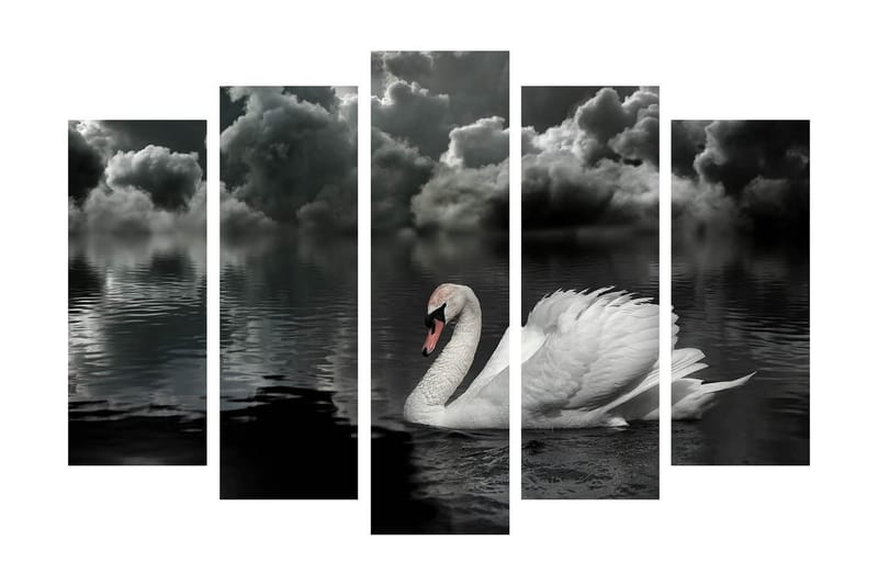 Suuri 5-osainen canvas-taulu, 105x70 cm - mustavalkoinen joutsen ui peilimäisessä järvessä dramaattisten pilvien alla - Valkoinen / Musta / Harmaa - Sisustustuotteet - Taulu & taide - Canvas-taulu