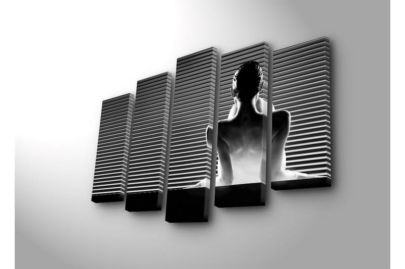 Suuri 5-osainen canvas-taulu, 105x70 cm - Naisen siluetti profiilissa raidallista taustaa vasten - Musta / Valkoinen / Harmaa - Sisustustuotteet - Taulu & taide - Canvas-taulu