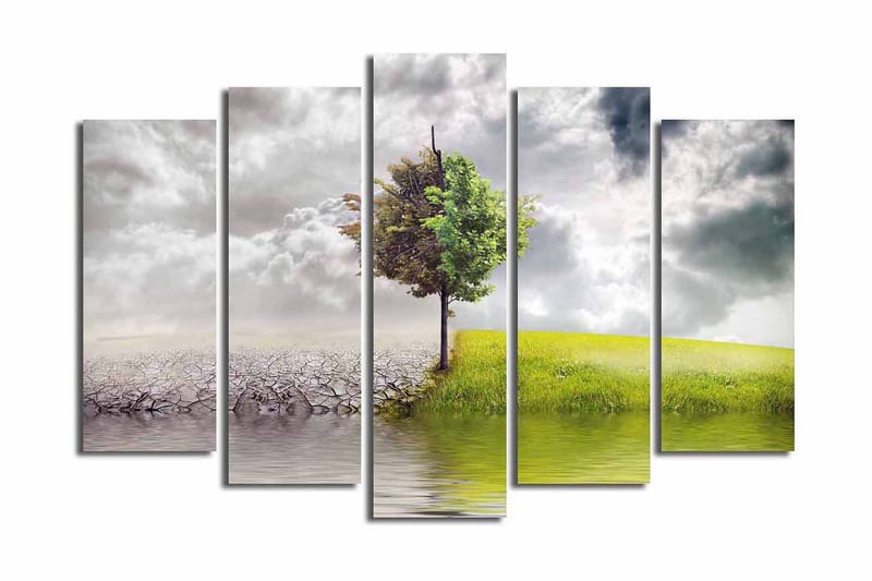 Suuri 5-osainen canvas-taulu, 105x70 cm - Vehreät puut kuivan maan ja rehevän niityn välissä - Vihreä / Harmaa / Beige - Sisustustuotteet - Taulu & taide - Canvas-taulu