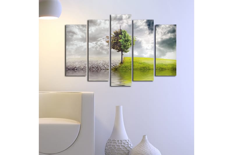 Suuri 5-osainen canvas-taulu, 105x70 cm - Vehreät puut kuivan maan ja rehevän niityn välissä - Vihreä / Harmaa / Beige - Sisustustuotteet - Taulu & taide - Canvas-taulu
